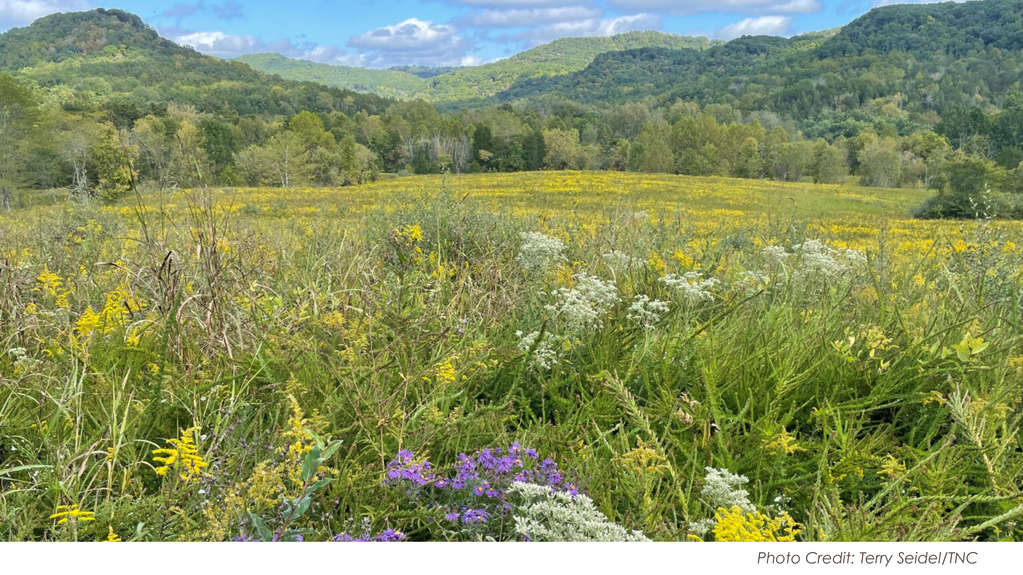 Edge of Appalachia – Adams County Fund - Foundation for Appalachian Ohio, image size:3333x1875
